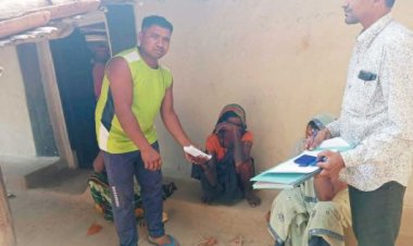 बुजुर्ग को हाथी ने पटककर मार डाला