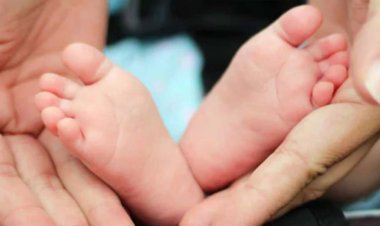 सरोगेसी के जरिए बच्चा होने की सूरत में छह महीने का मातृत्व अवकाश ले सकेंगी सरकारी महिला कर्मी