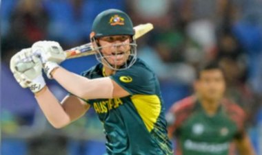 डेविड वॉर्नर के अंतर्राष्ट्रीय करियर पर 'पूर्ण विराम', उनकी उपलब्धियों और रिकॉर्ड पर एक नजर