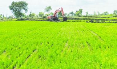 फसल रौंदकर पाइप लाइन डालने पर भडक़े किसान