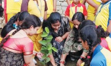 स्कूल में विद्यार्थियों और शिक्षकों ने किया पौधारोपण