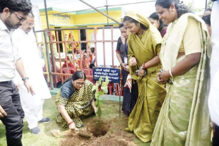 केंद्रीय राज्य मंत्री ने आंबा केंद्रों और सखी वन स्टॉप सेंटर का किया निरीक्षण