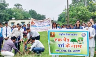 करंजी में एक पेड़ मां के नाम का आयोजन