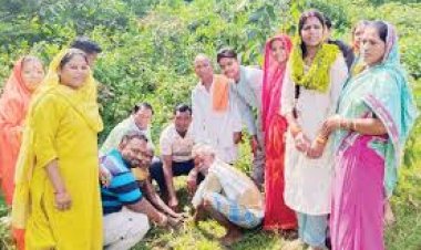 नवरात्र के प्रथम दिन शीतला मंदिर में दीप प्रज्वलित कर पौधरोपण