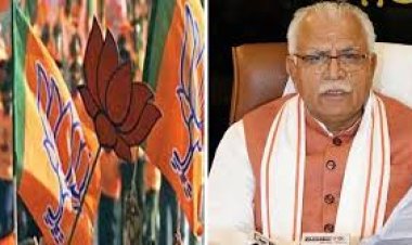 हरियाणा में बीजेपी की जीत की हैट्रिक पर आतिशबाजी:खरगोन जिलाध्यक्ष बोले- तीसरी बार सरकार बनना ऐतिहासिक