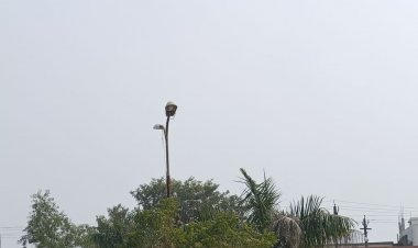 अशोकनगर में नवबंर से दूसरे सप्ताह में बढ़ेगी सर्दी:सुबह-सुबह ठंडी हवा से गुलाबी ठंड का एहसास, दिन में धूप से गर्मी का असर