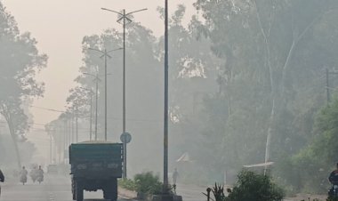 रायसेन में सुबह 9 बजे तक छाई रही धुंध:रात में सर्दी का एहसास, 15 नवंबर से बढ़ेगी ठंड; गर्म कपड़ों में नजर आने लगे लोग