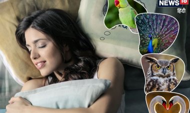 सपने में इन 5 पक्षियों का दिखना बेहद शुभ, अच्छे दिनों की ओर करते हैं इशारा!