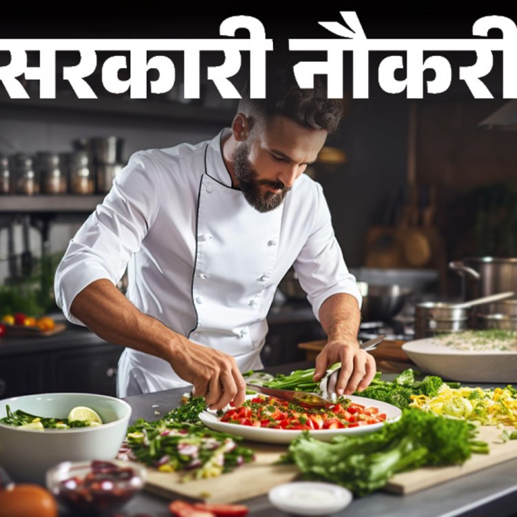 सरकारी नौकरी:डीयू के हॉस्टल में कुक, हाउसकीपर की भर्ती; 12वीं पास से लेकर ग्रेजुएट्स को मौका, एज लिमिट 45 साल