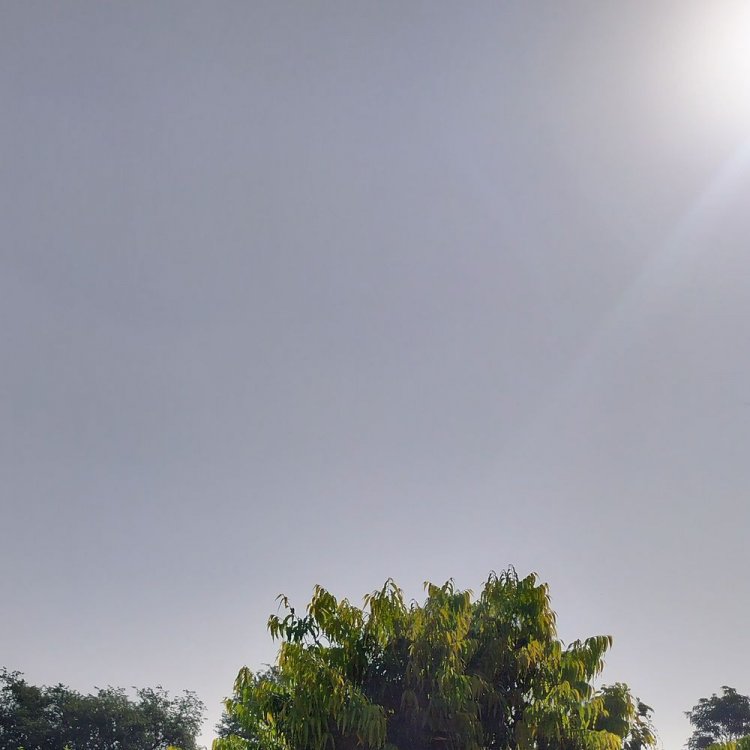 देवास में अब तक ठंड ने नहीं पकड़ा जोर:नवंबर का पहला सप्ताह बीता, दिन के समय चुभ रही धूप, शाम को गुलाबी ठंड का एहसास