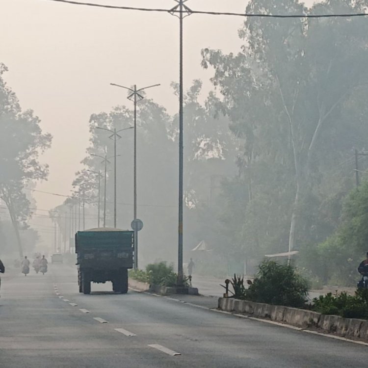 रायसेन में सुबह 9 बजे तक छाई रही धुंध:रात में सर्दी का एहसास, 15 नवंबर से बढ़ेगी ठंड; गर्म कपड़ों में नजर आने लगे लोग
