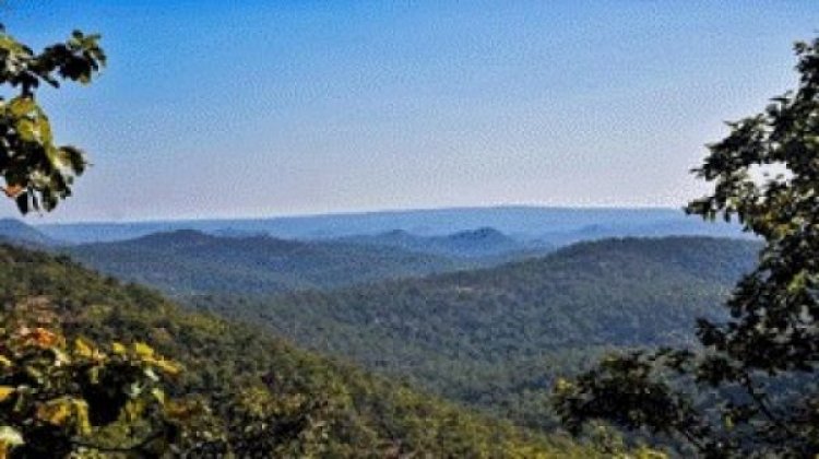 गुरू घासीदास-तमोर पिंगला बना देश का 56वां टाइगर रिजर्व, मुख्यमंत्री श्री साय ने प्रधानमंत्री श्री नरेन्द्र मोदी और केन्द्रीय वन मंत्री श्री भूपेन्द्र यादव के प्रति जताया आभार