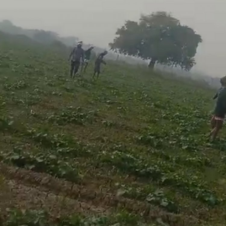 भिंड में ट्रैक्टर निकालने की बात पर चली गोली:अमायन में हुई मारपीट; मालनपुर के नौनेरा में भी दो घायल