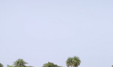 देवास मौसम अपडेट, सीजन में पहली बार पारा 7 डिग्री:रात के पारे में गिरावट होने से कंपकपाने वाली ठंड, बर्फीली हवाओं से चल रही शीतलहर