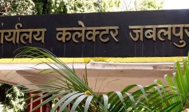 15 की जगह 18 दिसंबर को हाईटेक गौशाला का भूमिपूजन:सीएम का जबलपुर दौरा कैंसिल; दस हजार गोवंश के लिए 80 एकड़ में तैयारी होगी