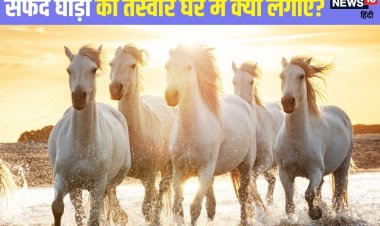 घर में क्यों लगाएं सफेद दौड़ते घोड़ों की तस्वीर? जानें लगाने की सही दिशा