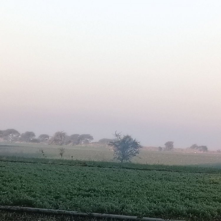 अशोकनगर में न्यूनतम तापमान 4.7 डिग्री:अधिकतम 23.4 पर आया, सुबह और रात के समय पड़ रही कड़ाके की ठंड