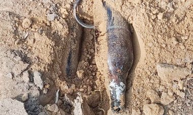 नक्सली मंसूबा विफल, 2 बम बरामद