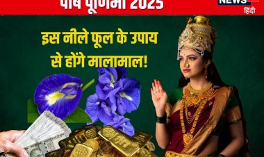 पौष पूर्णिमा: करें इस नीले फूल के उपाय, मिटेगी आर्थिक तंगी, धन से भरेगा घर!
