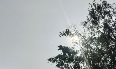 देवास में कम हुआ ठंड का असर:तापमान में 4 डिग्री की बढ़ोतरी, बादलों की वजह से नहीं निकली धूप