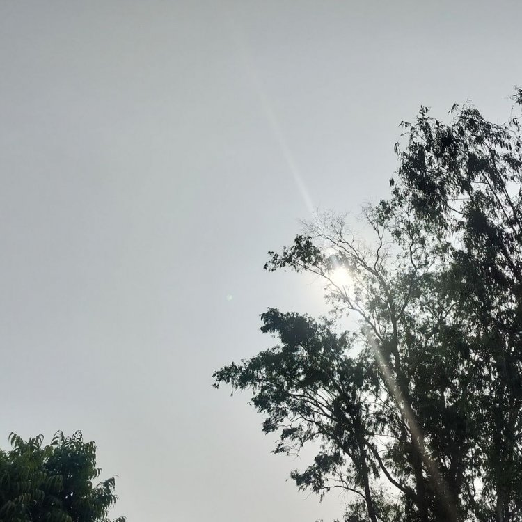 देवास में कम हुआ ठंड का असर:तापमान में 4 डिग्री की बढ़ोतरी, बादलों की वजह से नहीं निकली धूप