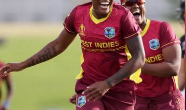 अशोकनगर के अधिकतम तापमान में गिरावट:बादलों की वजह से न्यूनतम पारा 9.9 से बढ़कर 12.4 डिग्री पर पहुंचा, अभी ऐसा ही रहेगा मौसम