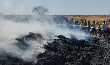 राजगढ़ में 5 किसानों की गेहूं की फसल जलकर राख:बिजली के तारों की चिंगारी से लगी आग, एक घंटे देरी से पहुंची दमकल