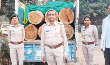 रेवतपुर जंगल से भारी मात्रा में लकड़ी लोड पिकअप जब्त