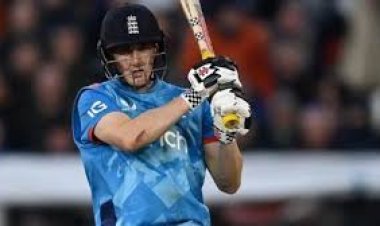 पन्ना टाइगर रिजर्व में झरने पर दिखा बाघ परिवार:पानी पीती बाघिन पी-151 और दो शावक, पर्यटकों ने बनाया वीडियो