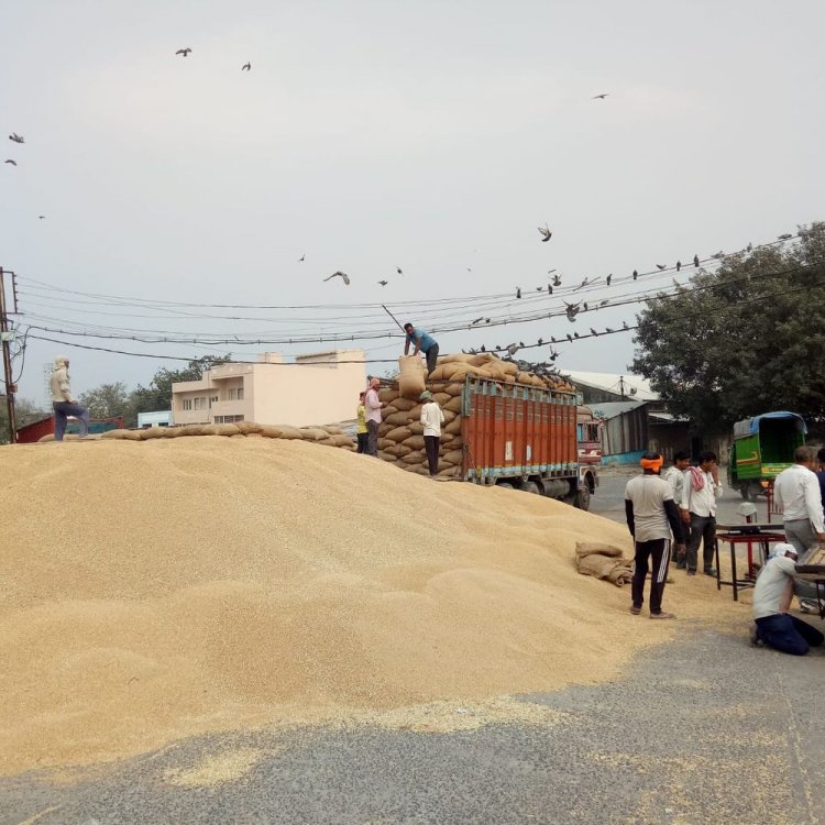 इंदौर में 13 किसानों पर एफआईआर:फसल अवशेष जलाने का मामला, सार्वजनिक अवकाश में भी जारी रहेगी गेहूं खरीदी