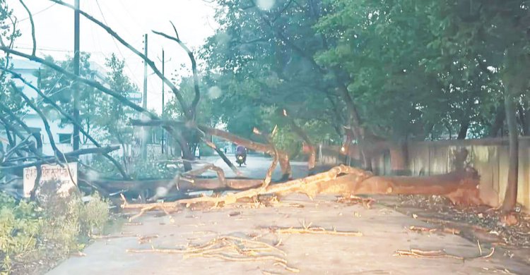 अंधड़-बारिश ने कहर बरपाया, कहीं पेड़ गिरे, कहीं होर्डिंग्स