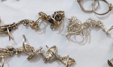 नीमच में दो घरों से चोरी का आरोपी पकड़ा:चांदी के जेवर और सोने के मोती समेत 1.35 लाख का माल बरामद