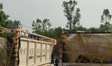 उमरिया में पशु तस्करी, चार आरोपी गिरफ्तार:पुलिस ने 16 गोवंश मुक्त कराए, 4 पिकअप वाहन जब्त किए