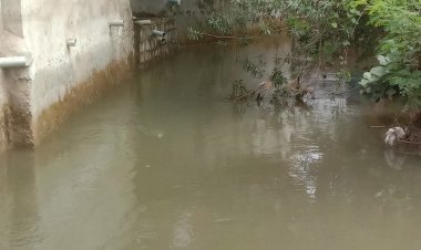 टीकमगढ़ में वृंदावन तालाब का पानी कॉलोनियों में घुसा:नाले पर अवैध कब्जे से जलभराव, 30 फीट चौड़ा नाला 10 फीट का हुआ