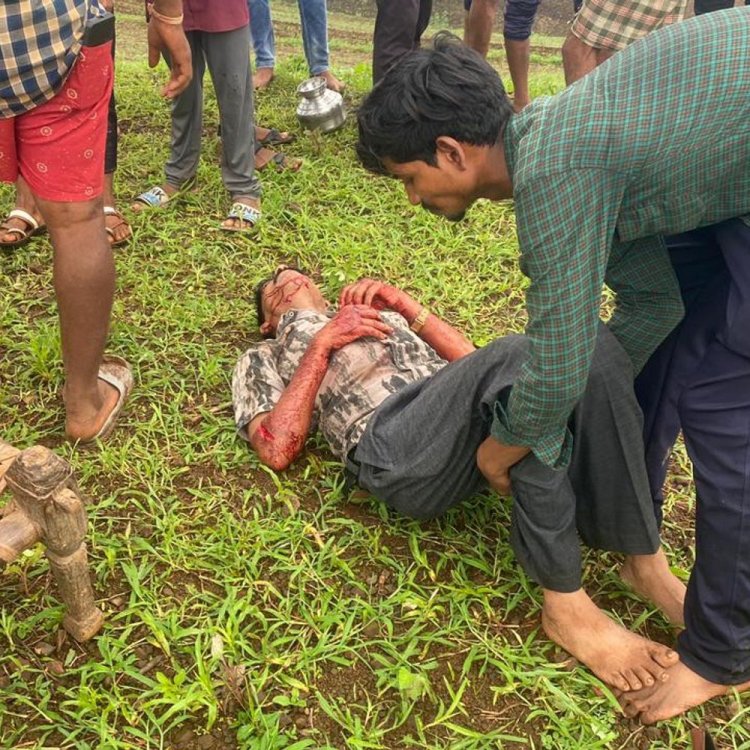 आलीराजपुर में तेंदुए ने दो वन कर्मियों पर किया हमला:एक युवक ने पत्थर मारकर तेंदुए को भगाया, तब बची दोनों की जान