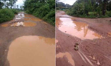 60 लाख की सड़क बनी दलदल: गड्ढों और झाड़ियों में समाई, ठेकेदार को नोटिस