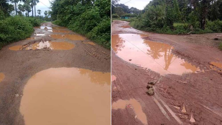 60 लाख की सड़क बनी दलदल: गड्ढों और झाड़ियों में समाई, ठेकेदार को नोटिस