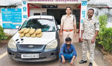 गांजा संग आरोपी पकड़ाया