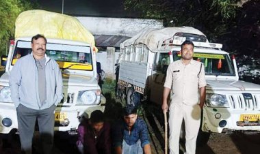 194 बोरी धान सहित 3 पिकअप जब्त