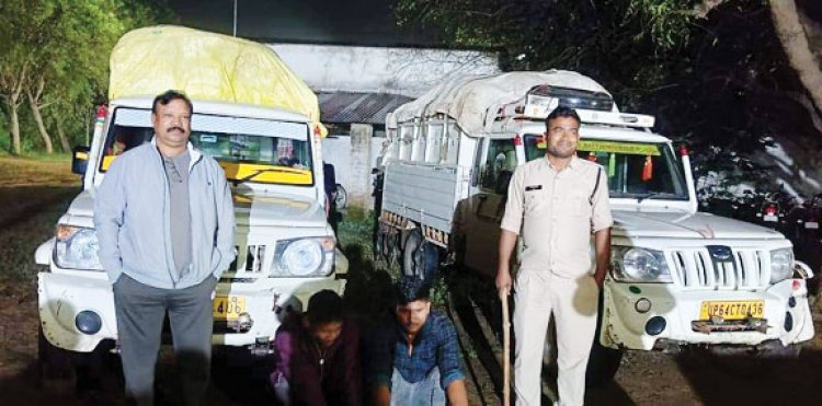 194 बोरी धान सहित 3 पिकअप जब्त