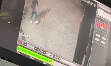 भोपाल में सड़क पर तलवार से ताबड़तोड़ हमला:कार से टक्कर के बाद विरोध करने पर युवक की चार उंगलियां कटीं, CCTV आया सामने