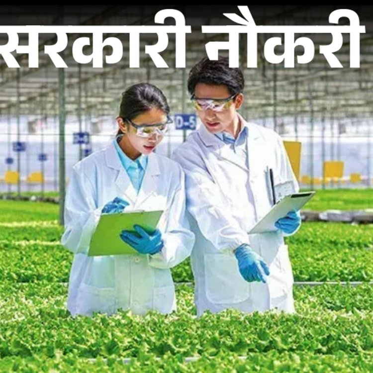 सरकारी नौकरी:स्टेट एग्रीकल्चर यूनिवर्सिटीज में 158 पदों पर भर्ती; सैलरी 80 हजार से ज्यादा, बिना इंटरव्यू के सिलेक्शन