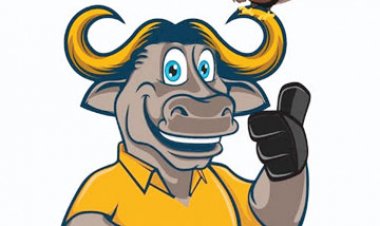 प्रियदर्शिनी स्टेडियम में 11 से होगा संभाग स्तरीय बस्तर ओलम्पिक