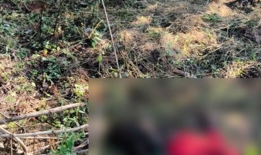 न्यूजीलैंड को बड़ा झटका, टी20 विश्व कप 2026 से बाहर हुईं ईडन कार्सन