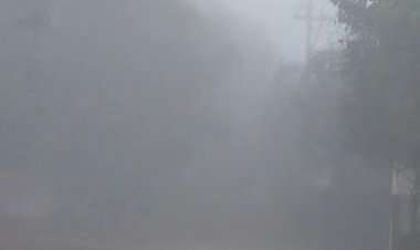 धार में पारा 6.5 डिग्री पहुंचा, शीतलहर से ठिठुरा शहर:कोहरे के बीच स्कूल जा रहे बच्चे, चने की फसल खराब होने का डर