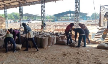 समर्थन मूल्य पर धान बेचने के लिए फिर मौका:वंचित रहे किसान 12-13 जनवरी को कर सकते है स्लॉट बुकिंग