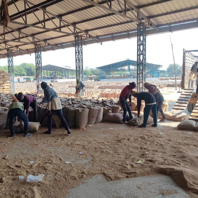 समर्थन मूल्य पर धान बेचने के लिए फिर मौका:वंचित रहे किसान 12-13 जनवरी को कर सकते है स्लॉट बुकिंग