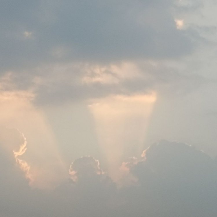 सीहोर में न्यूनतम तापमान 8.5°C, बादल छाए:तीन दिन बाद तापमान में 3 डिग्री की बढ़ोतरी, मावठे की बारिश के आसार