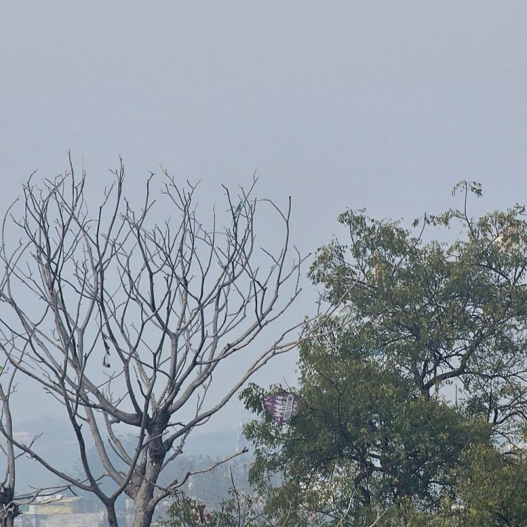 छतरपुर में बूंदाबांदी की संभावना:पश्चिमी विक्षोभ से मौसम बदला, बादल छंटते ही बढ़ेगी ठंड