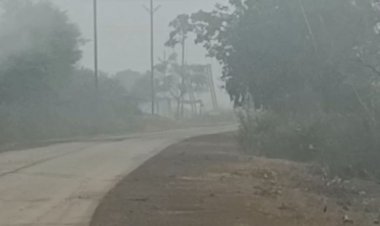 सीहोर में न्यूनतम तापमान 14 डिग्री सेल्सियस दर्ज:घने बादल छाए, कोहरे से विजिबिलिटी कम; फसल नुकसान की आशंका